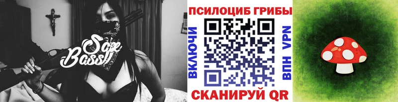 Купить  Костерёво  Галлюциногенные грибы GOLDEN TEACHER 